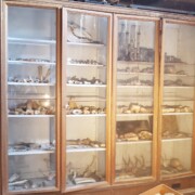 Živalski predmeti arheoloških izkopavanj.