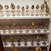 Zbirka ptic iz območja okoli Dampierre-a.