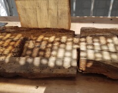 Stara podporna struktura ima les že precej načet.