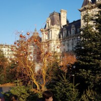 Okrasitev pred mestno hišo. Letos bogatejša kot lani.