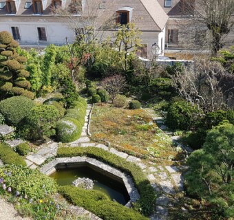 Japonski vrt - pogled z balkona.
