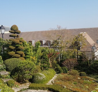 Pogled na japonski vrt.