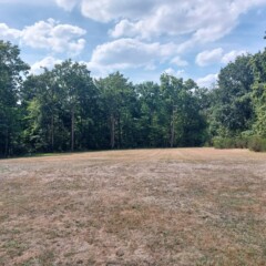 Pogled navzdol po hribu. V Carréjevem času ni bilo še dreves in je imel pogled odprt na dolino.