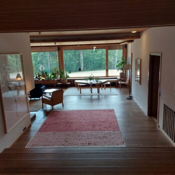 Prehod iz predsobe v dnevno sobo, po 'kraljevskih' stopnicah. Imajo sorazmerne dimenzije kot v Versaju. Rdeč tepih je design Elisse Aalto, arhitektove druge žene.