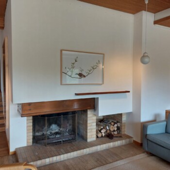 Dnevna soba v finskem stilu.