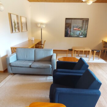 Dnevna soba v finskem stilu.