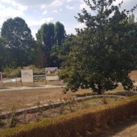 Evropski park okoli hiše.