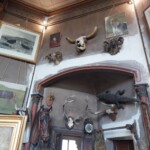 Povsod živali - nagačen krokodil, ki je nad vhodom v atelje, je tudi živel v Rosini menažeriji.