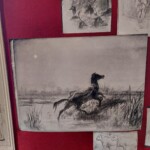 Fotografije risb Rose Bonheur so ohranjenje za večji del originalov se ne ve kje so.