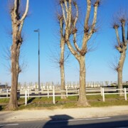 Javno parkirišče na vojaškem terenu pred konjeniško šolo.