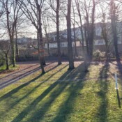 Travnik pred vilo Savoye.