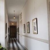 Galerija z risbami rastlin.